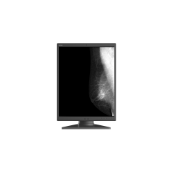 Monitor medyczny JUSHA M550G 21,3"