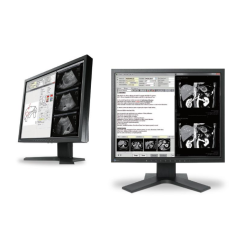 Monitor medyczny EIZO RadiForce MX194 19"