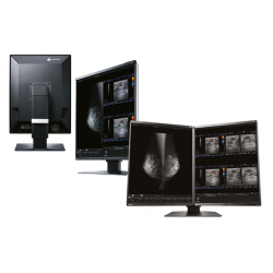 Monitor medyczny EIZO RadiForce RX560 21,3"
